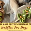 How To Make Festive Christmas Tree Waffles For Dogs? Make Festive Christmas Tree Waffles For Dogs | Easy Dog Treat Recipe