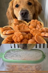 how to store frozen dog treats