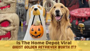 viral ghost golden retriever decor Home Depot