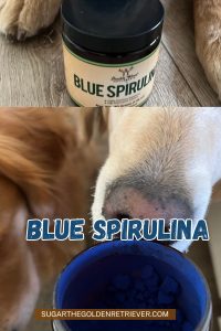 blue spirulina dog friendly
