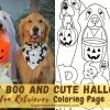 Spooky BOO and Cute Halloween Golden Retriever Coloring Page