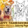 Happy Thanksgiving Golden Retriever Coloring Page Adorable Happy Thanksgiving Golden Retriever Coloring Page