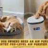 Why Dog Owners Need an Air Purifier | Provirtec Pro-Level Air Purifier Review - Product Review