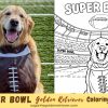 Printable Golden Retriever Coloring Page for Super Bowl Sunday Fun Printable Golden Retriever Coloring Page for Super Bowl Sunday Fun