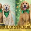 Create a St. Patrick’s Day AI Dog Portrait with Your Dog Photo (Easy Studio-Style Tutorial for Dog Lovers)