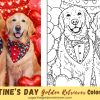 Free Printable Valentine's Day Golden Retriever Coloring Page