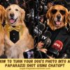 How to Turn Your Dog’s Photo Into a Paparazzi Shot Using ChatGPT How to Turn Your Dog’s Photo Into a Paparazzi Shot Using ChatGPT AI