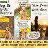 Things Dogs Do That Help Our Mental Health: The Little Things Dog Parents Understand 5 Ways Dogs Help Our Mental Health Every Day They Comfort Us Without Words