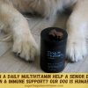 Can a Daily Multivitamin Help a Senior Dog With Skin & Immune Support? Our Dog is Human Review Can a Daily Multivitamin Help a Senior Dog With Skin & Immune Support? Our Dog is Human Review
