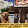 Dog-Friendly Old Town Temecula: What to Do With Dogs in 1½ Hours Dog-Friendly Old Town Temecula California - What to Do With Dogs in 1½ Hours
