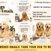 If Dogs Answered Emails- Take Your Dog To Work Day Fun