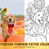 Golden Retriever Pumpkin Patch Coloring Page | Fall Printable Golden Retriever Pumpkin Patch Coloring Page