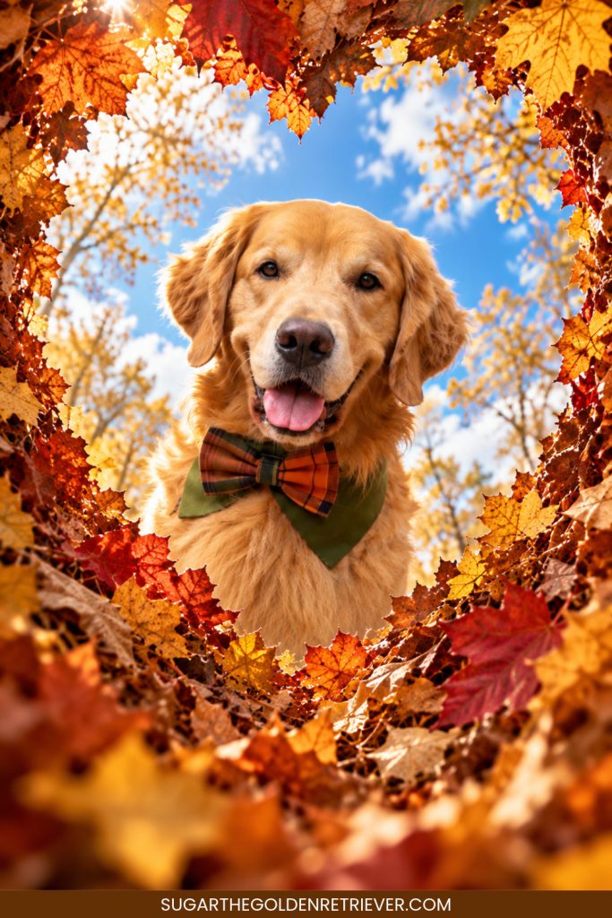 Using ChatGPT Turn Your Dog's Photo Into a Heart-Shaped Fall Leaves Portrait Using ChatGPT Turn Your Dog's Photo Into a Heart-Shaped Fall Leaves Portrait